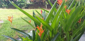 Garden - Intan Hotel Purwakarta (Purwakarta)