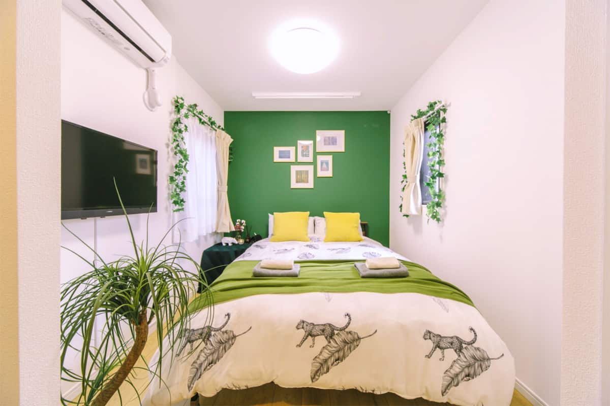 A small, well-lit room with a green accent wall, a bed with a leopard print duvet, a flat-screen TV, and a potted plant.