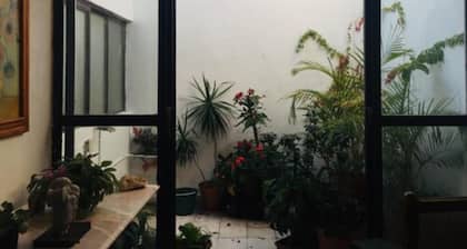 Casa Marfil - Hostel