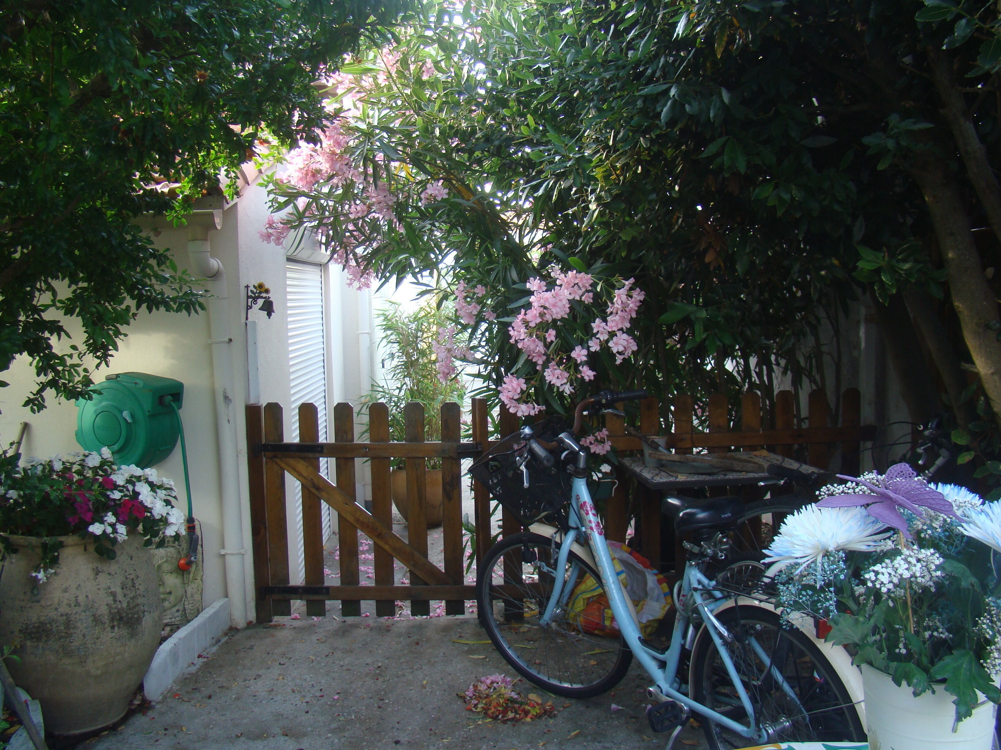Ein Fahrrad steht in einem Garten mit Holzzaun, einem Blumentopf und einem grünen Schlauch an der Wand.