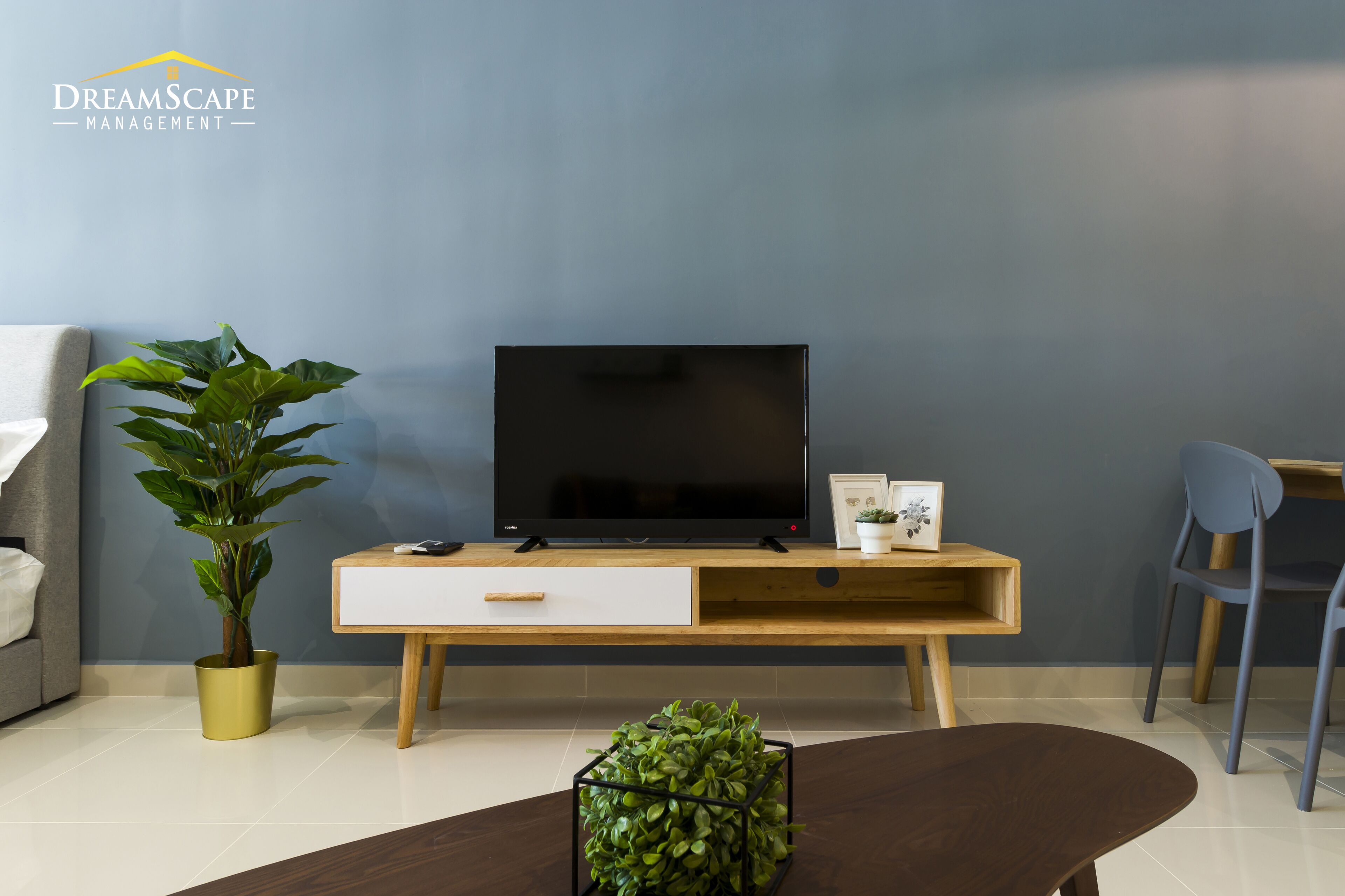 A modern living room with a flat-screen TV on a wooden stand, a potted plant, a small table, and a chair.