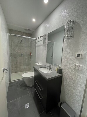 Shower, hair dryer, towels, soap