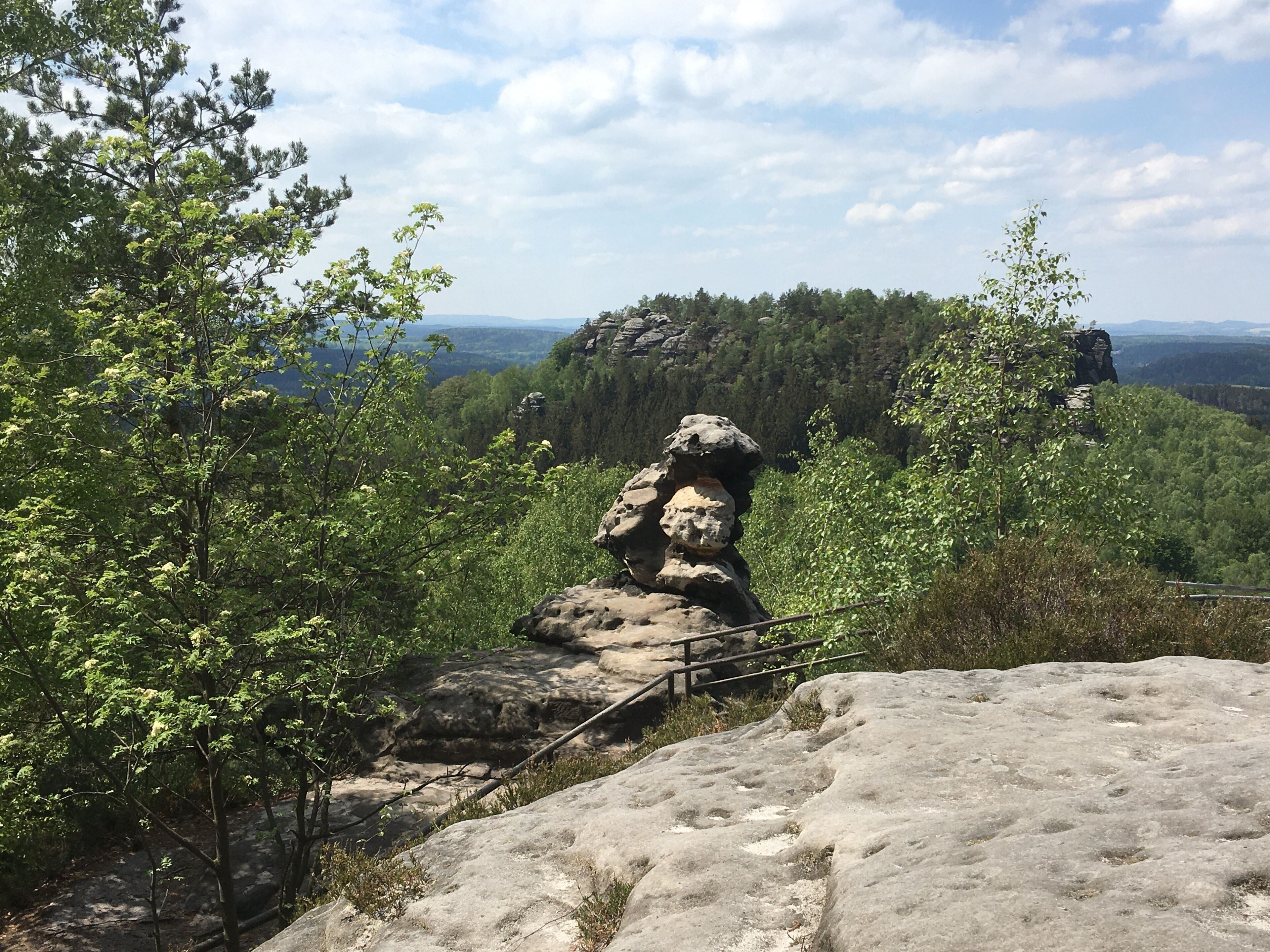 A rocky landscape with a prominent rock formation in the foreground and a forested area in the background.
