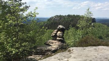 A rocky landscape with a prominent rock formation in the foreground and a forested area in the background.
