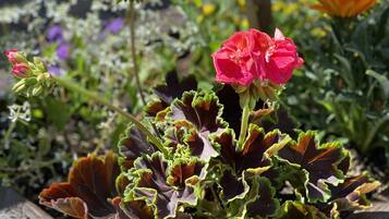Una jardinera de madera con flores rojas y follaje verde.