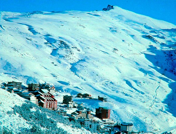 الإطلالة من المنشأة