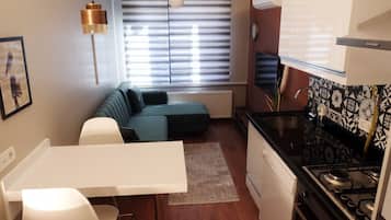 Apartamento, 1 habitación, vistas a la ciudad | Zona de estar | Televisión LCD de 50 cm con canales por cable, una televisión