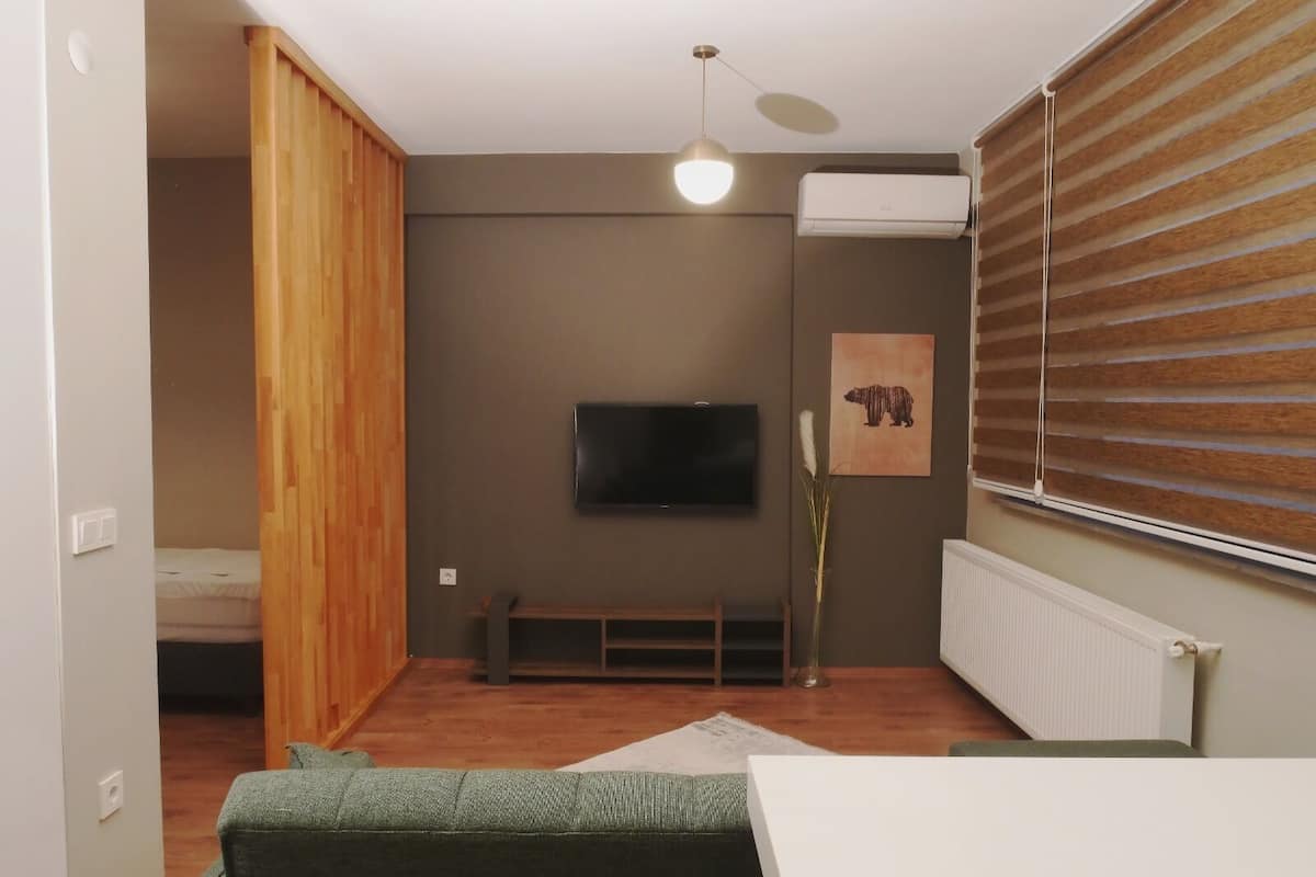 A compact living space with a sofa, a TV mounted on the wall, a radiator, and a window with blinds.