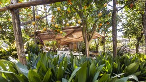Ein Garten mit einem Pergola, der mit gelben Zitronen behangen ist, umgeben von üppigen Grünpflanzen.