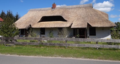 Urlaub mit dem Haustier im Wald