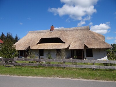 Urlaub mit dem Haustier im Wald
