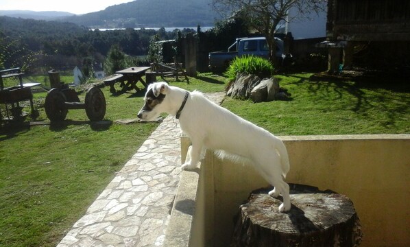 Property grounds - Suite for Three in Converted Barn on Ground Floor (Outes)