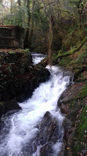 Miscellaneous - Suite for Three in Converted Barn on Ground Floor (Outes)