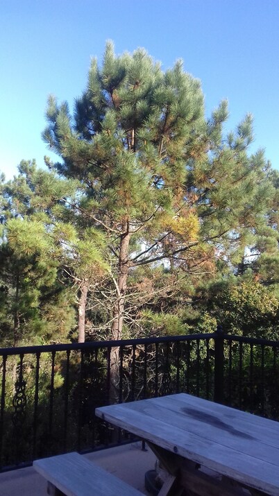 Suite for Three in Converted Barn on Ground Floor