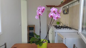 Una cucina con un tavolo di legno, due piante di orchidea in vaso giallo, un fornello e un piccolo frigorifero.