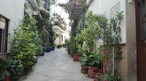Stroll through this charming, plant-lined alleyway, surrounded by simple, well-maintained buildings.