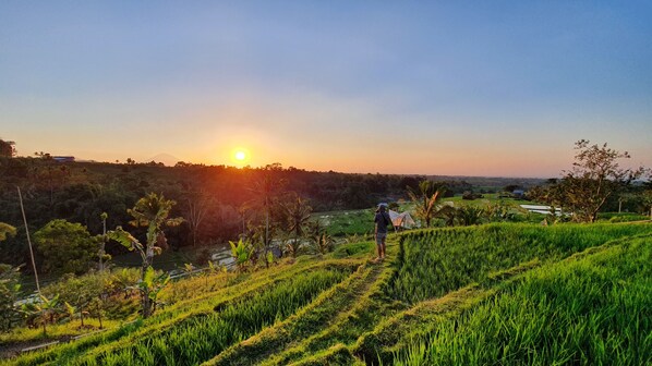 Exterior - Balai Sirep Tabanan Bali (Penebel)