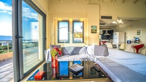 Smart TV, fireplace, DVD player, books