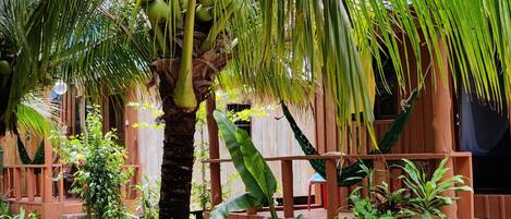 A wooden deck with a hammock, surrounded by lush greenery and a palm tree.