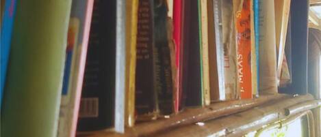 A collection of books on a shelf under a corrugated metal roof.