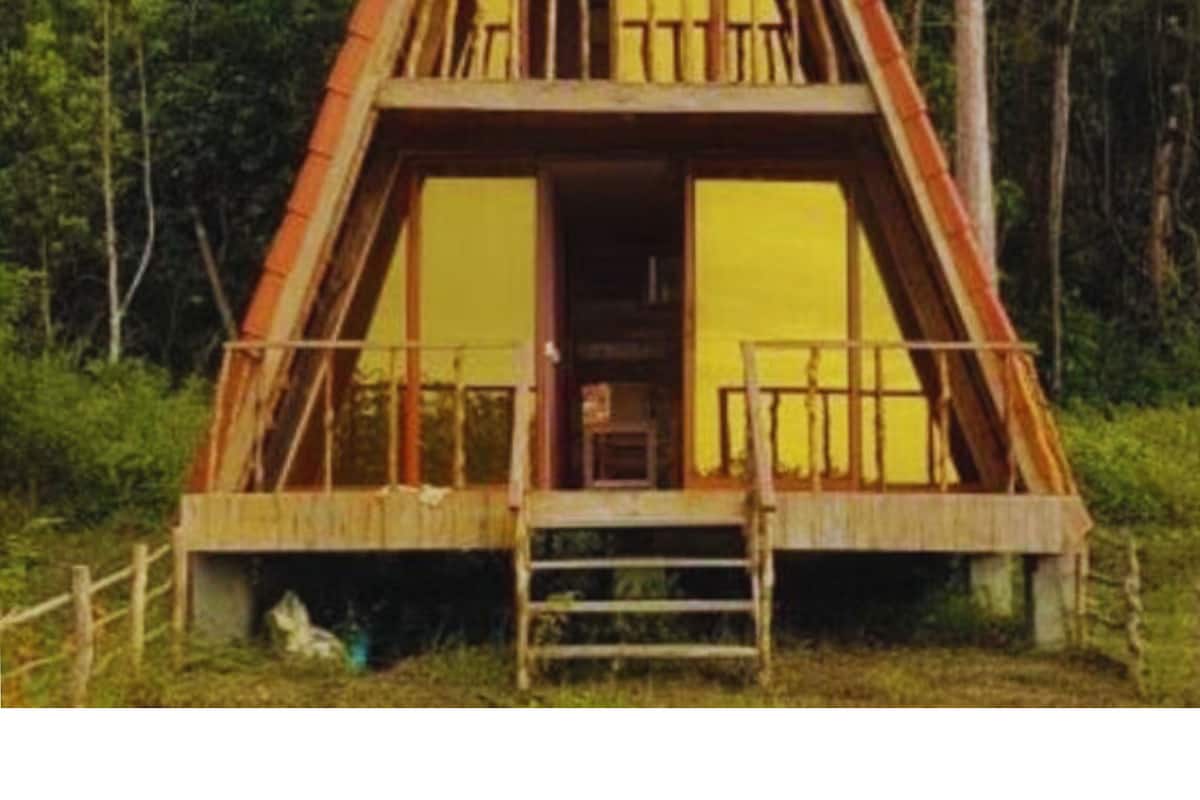 A two-story wooden cabin with a red roof, surrounded by dense forest.