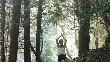 A person practicing yoga in a forested area with tall trees and a dirt path.