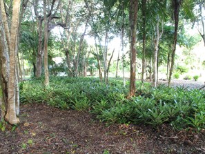 Áreas de la propiedad