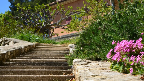 A stone staircase leading up to a building with a tiled roof, surrounded by greenery and flowering plants. - Charming 3-bedroom home with a private pool at the foot of Mont Ventoux. Stunning view (Bédoin)