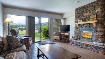 Télévision, cheminée, lecteur de DVD