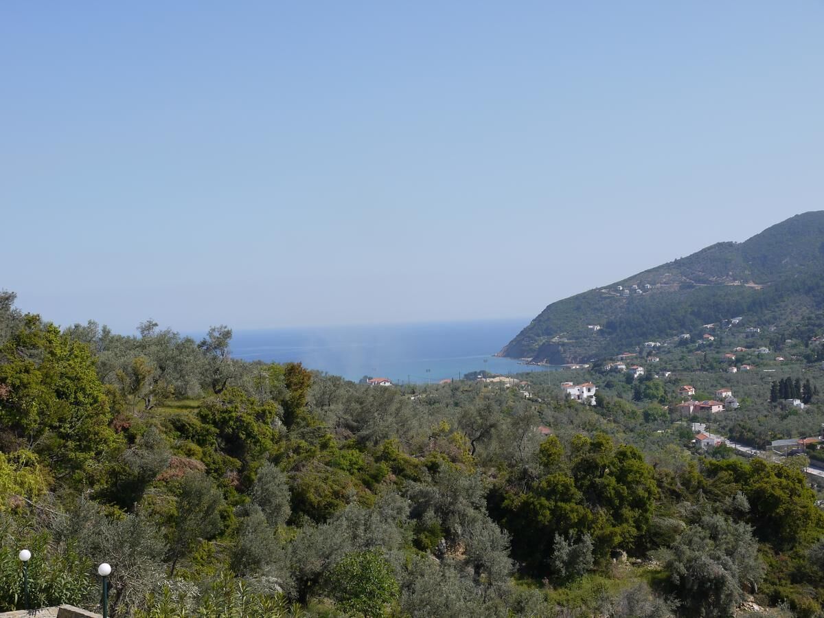 A coastal landscape with dense greenery and scattered buildings.