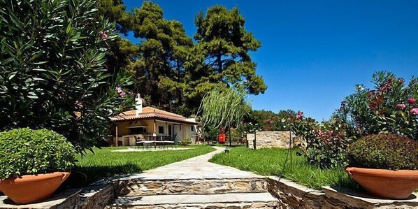 A stone pathway leading to a house with a tiled roof, surrounded by lush greenery and flowering plants. - Likasti (Skopelos)