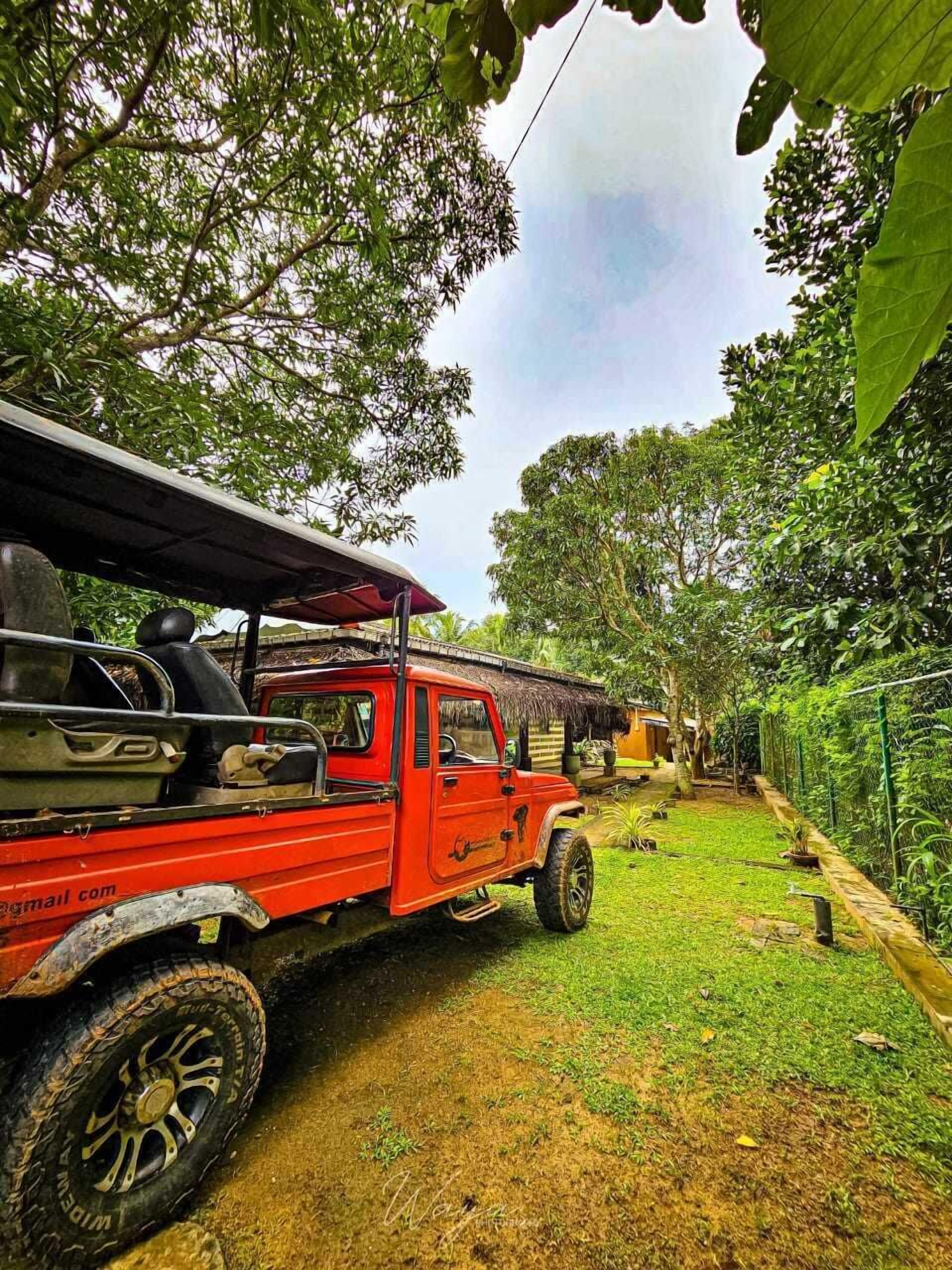 Safari