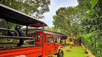 Safari