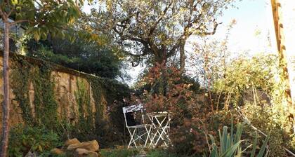 Charming stone cottage in heart of medieval town but close to countryside