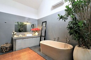 Une salle de bain moderne avec une baignoire sur pieds, un grand miroir et une plante en pot.