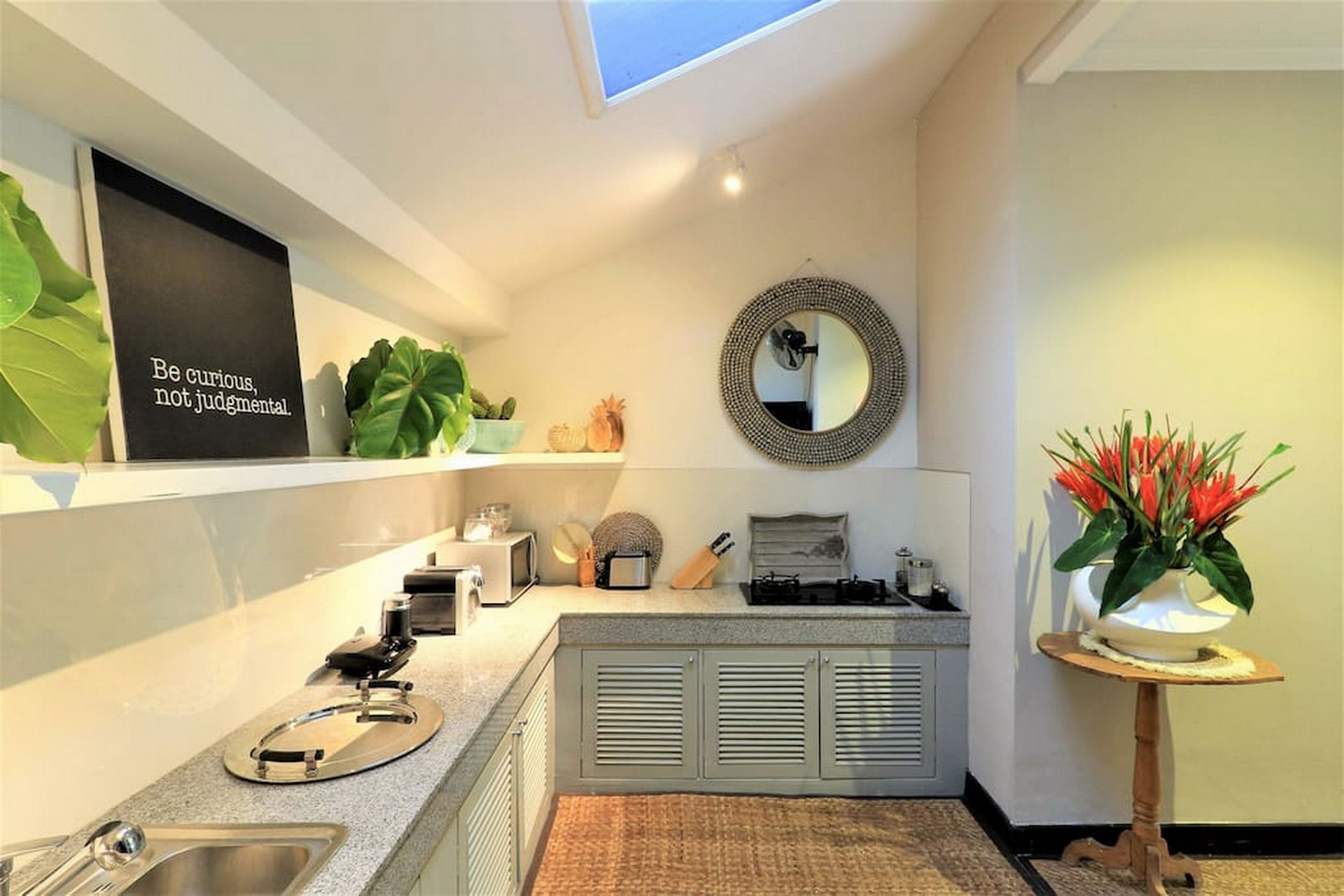 A modern kitchen with a skylight, a mirror, and a potted plant.