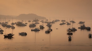 A marina with numerous boats docked.