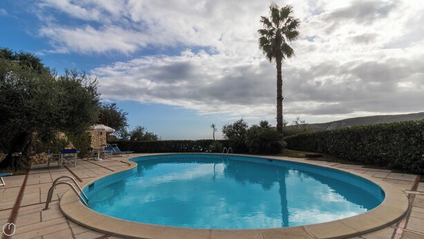 Ein Swimmingpool mit einer Palme, Liegestühlen und einer Steinstruktur.