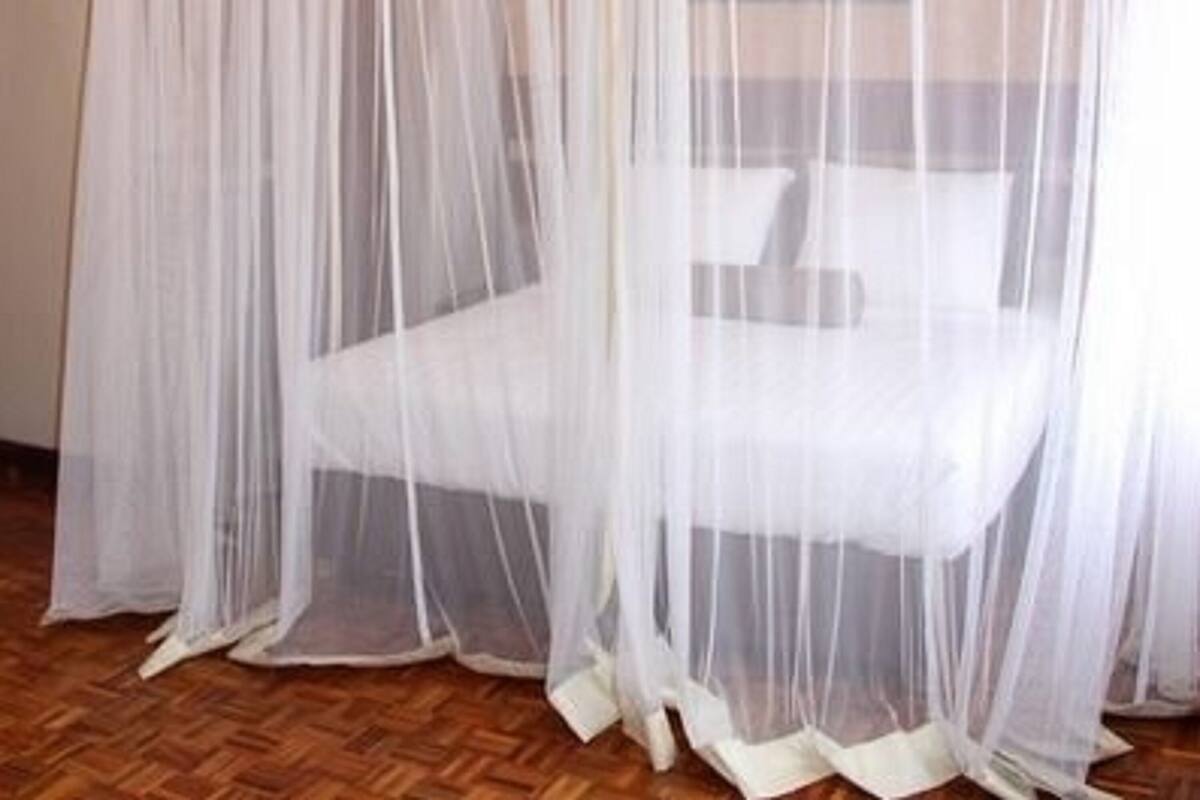 Una habitación con una cama cubierta por un dosel blanco transparente.