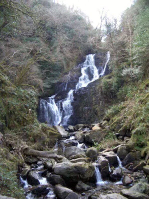 Une cascade d’eau qui dévale des rochers dans une zone boisée.