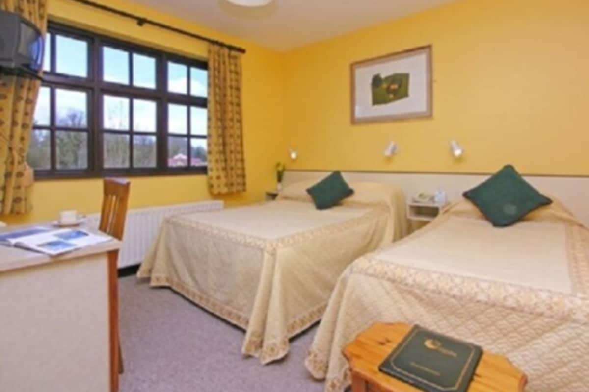 Una habitación con dos camas individuales, un escritorio con silla, una ventana con cortinas y un cuadro en la pared.