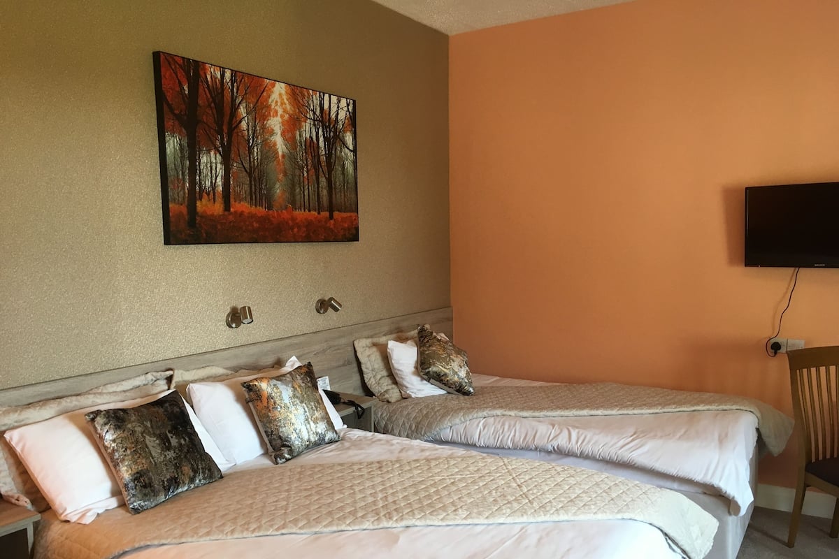Habitación de hotel con dos camas, un cuadro en la pared, un televisor y una silla de madera.