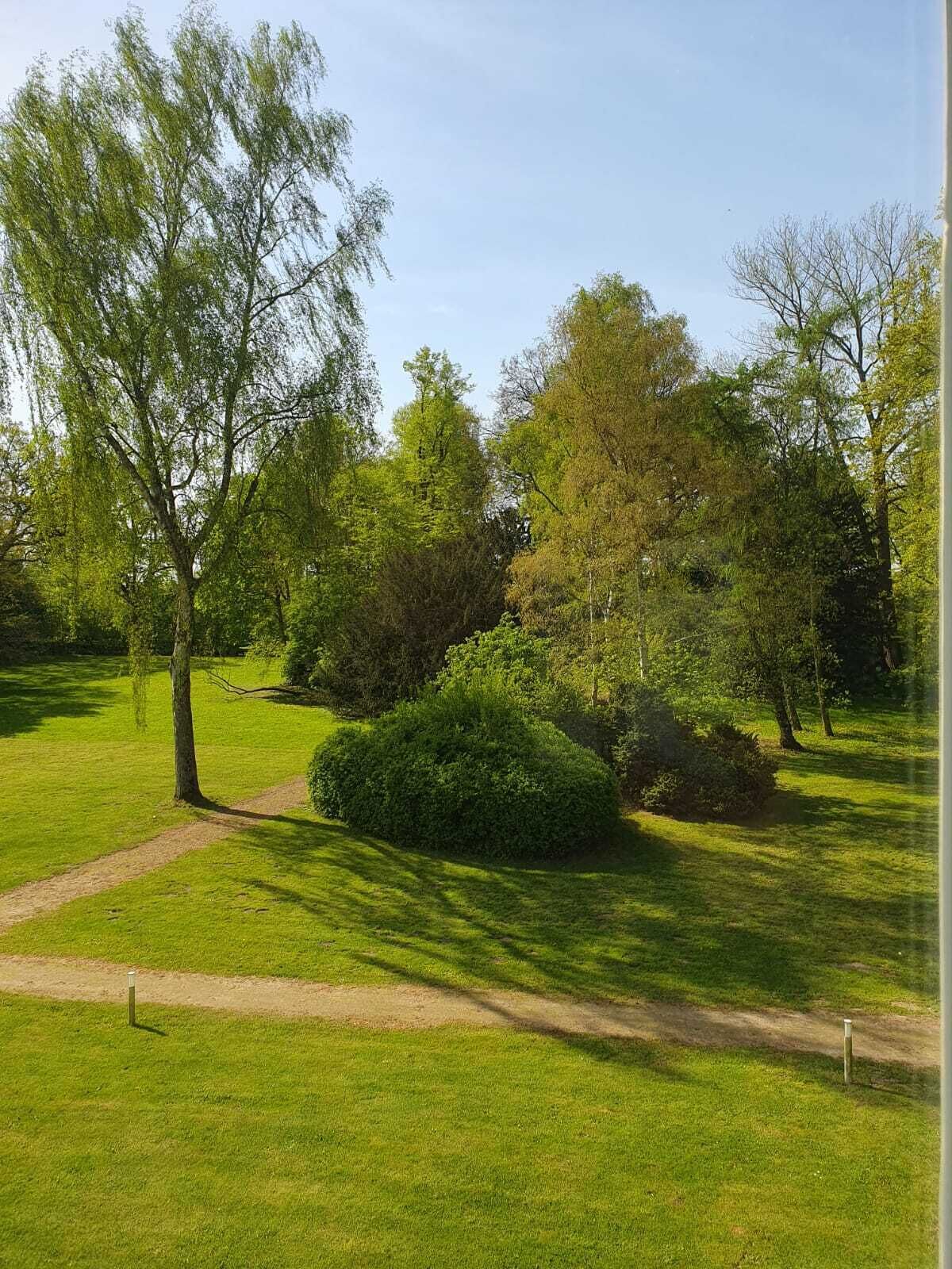 Un parc avec une pelouse, un sentier et divers arbres.