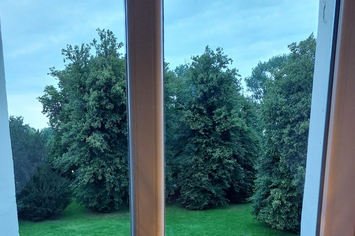 A window with two decorative lamps and a view of a green garden.