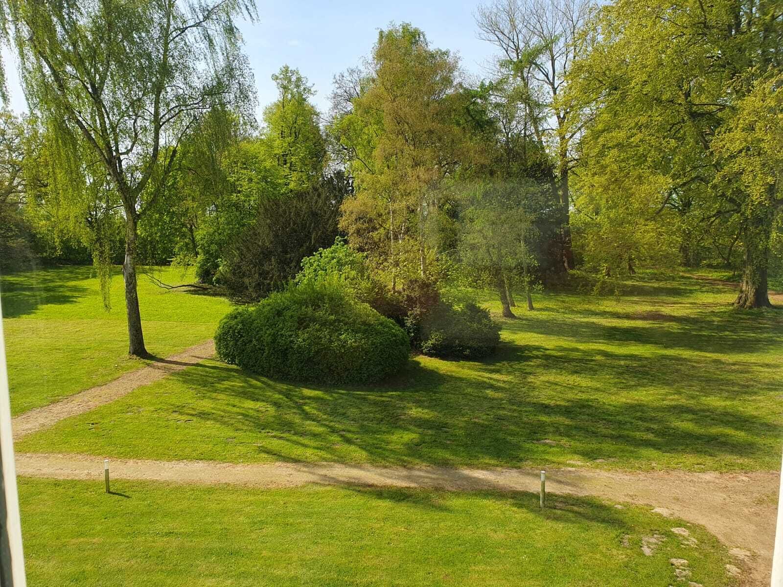 A well-maintained park with a variety of trees and a clear path.