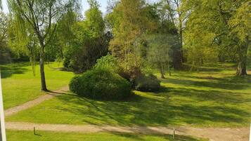A well-maintained park with a variety of trees and a clear path.