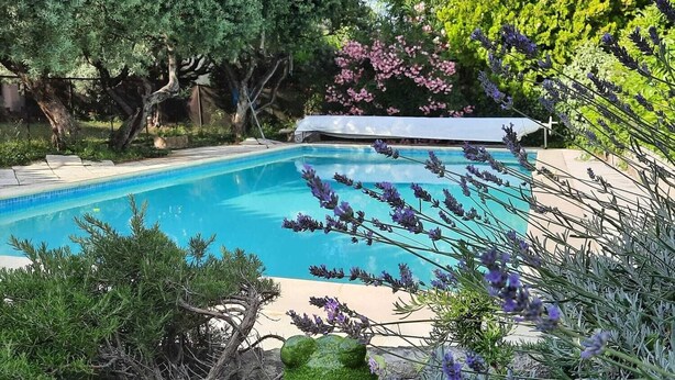 Una piscina rodeada de exuberante vegetación y una estatua decorativa de una rana.