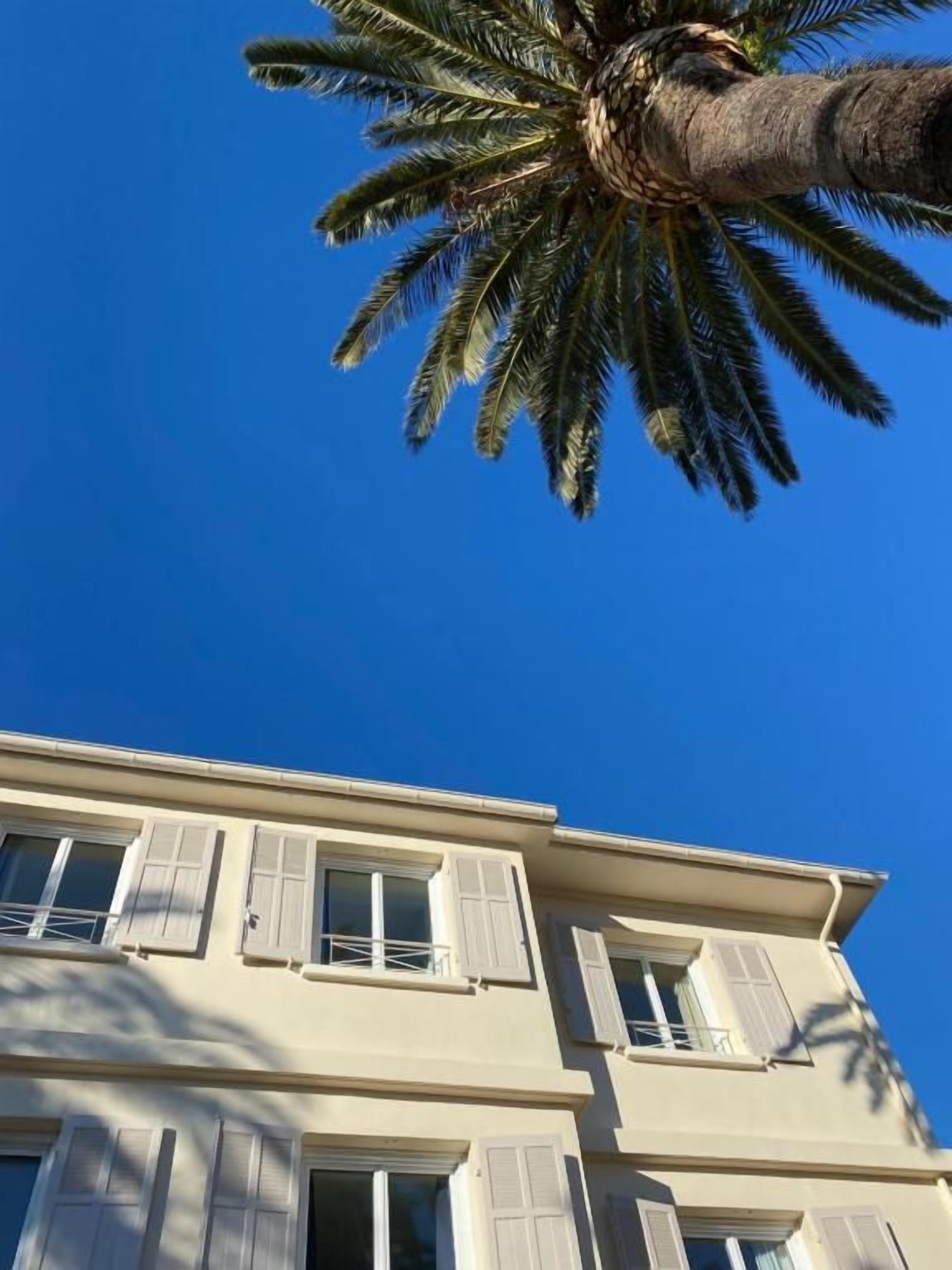 Un bâtiment doté de nombreuses fenêtres et de volets, un palmier et un ciel bleu dégagé.