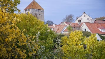 Blick auf den Garten