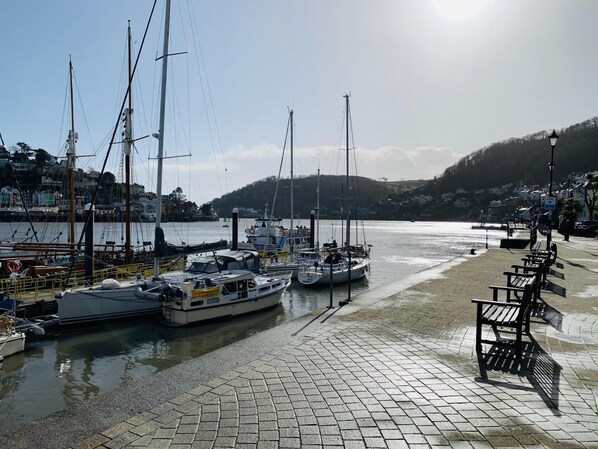 Boating - The End House - Cosy and central (Dartmouth)